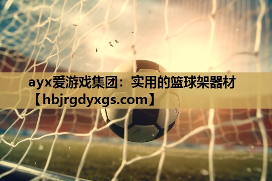 ayx爱游戏集团：实用的篮球架器材