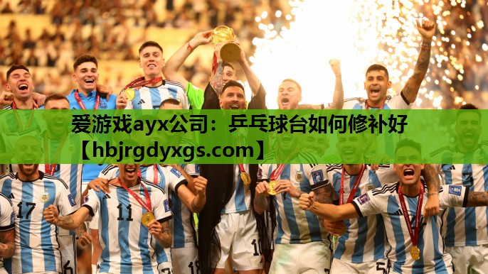 爱游戏ayx公司：乒乓球台如何修补好