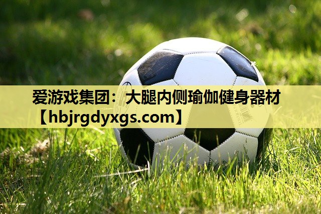 爱游戏集团：大腿内侧瑜伽健身器材