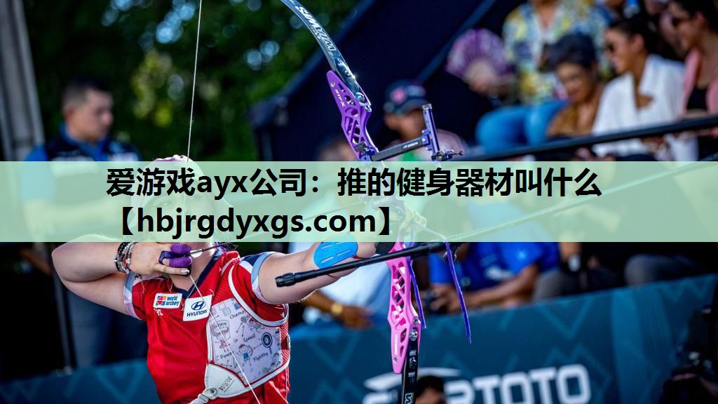 爱游戏ayx公司：推的健身器材叫什么