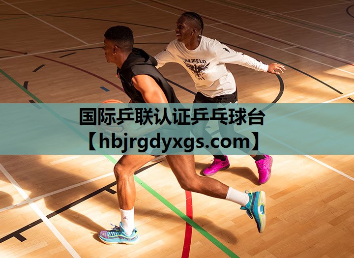 国际乒联认证乒乓球台
