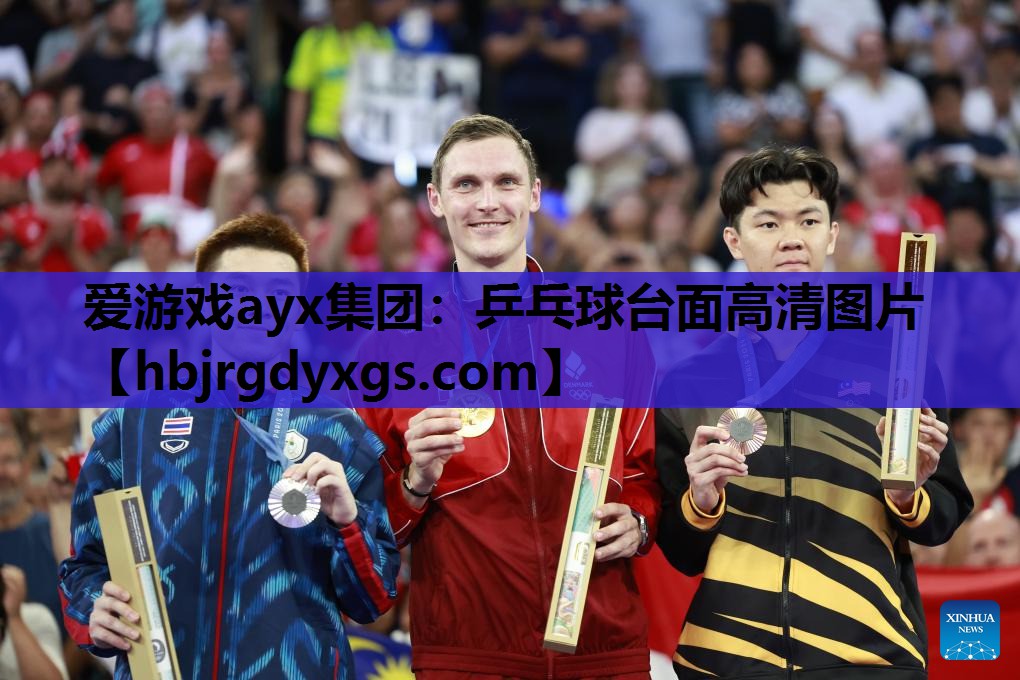 爱游戏ayx集团：乒乓球台面高清图片