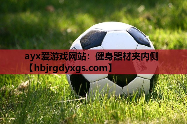 健身器材夹内侧