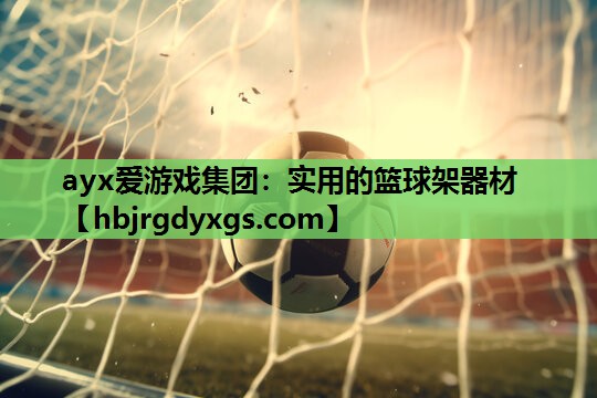 实用的篮球架器材