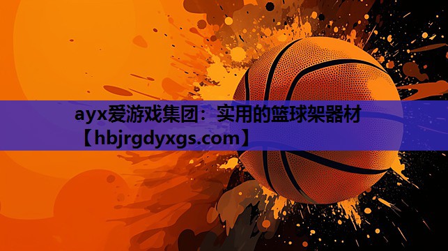 实用的篮球架器材