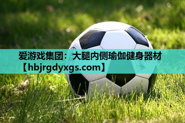 大腿内侧瑜伽健身器材