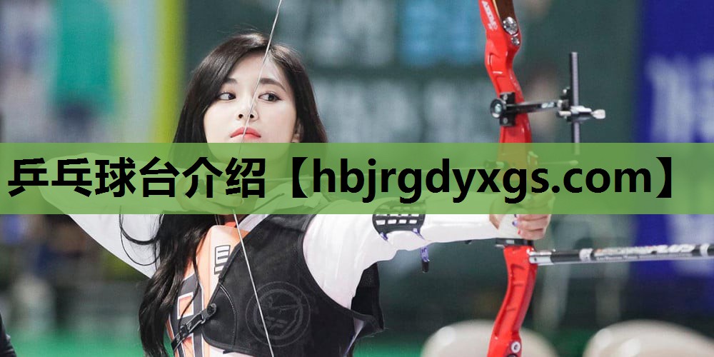 乒乓球台介绍