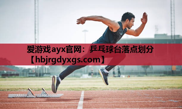 乒乓球台落点划分