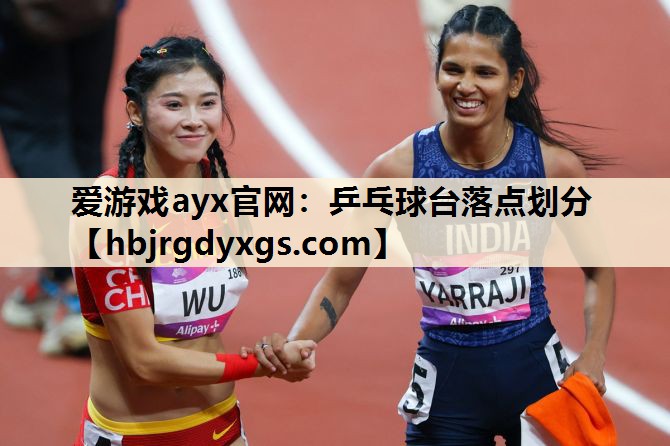 乒乓球台落点划分