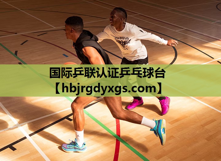 国际乒联认证乒乓球台