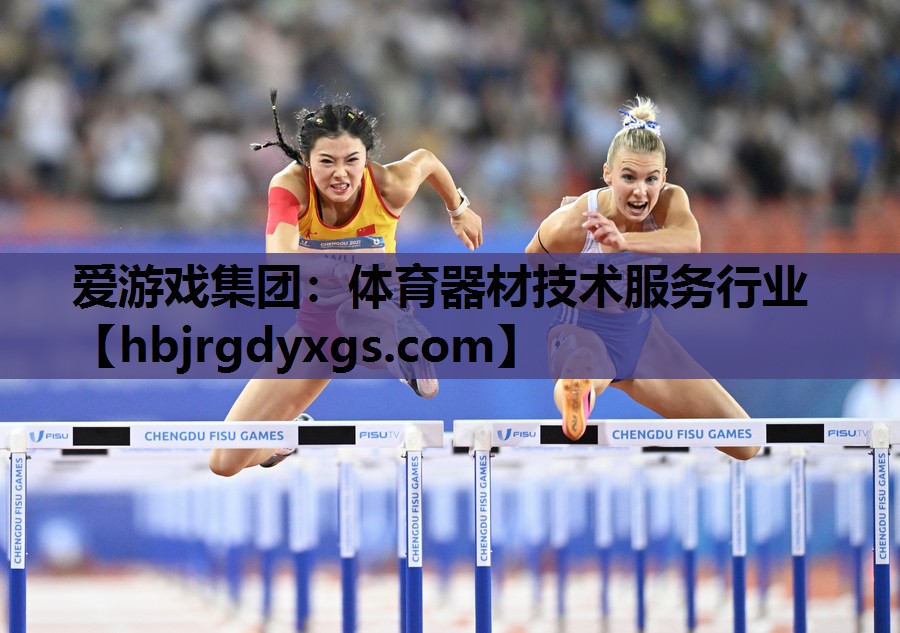 体育器材技术服务行业