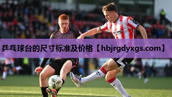 乒乓球台的尺寸标准及价格
