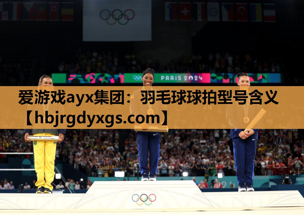 羽毛球球拍型号含义