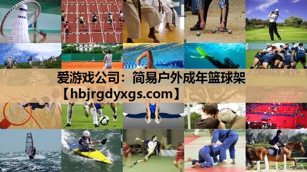 简易户外成年篮球架