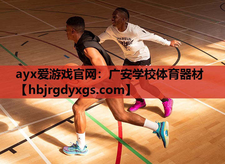 广安学校体育器材